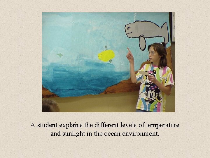 A student explains the different levels of temperature and sunlight in the ocean environment.