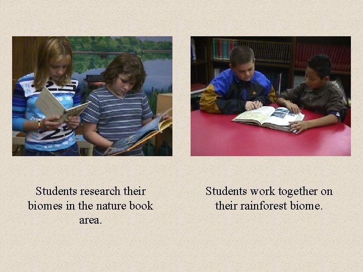 Students research their biomes in the nature book area. Students work together on their