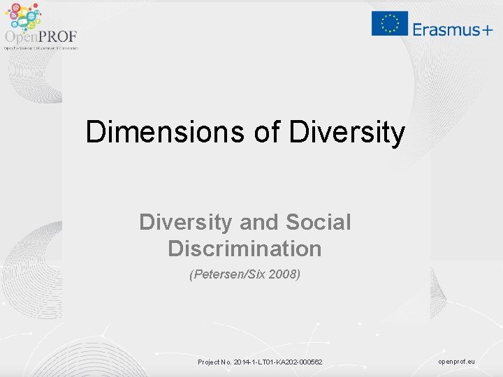Dimensions of Diversity and Social Discrimination (Petersen/Six 2008) Project No. 2014 -1 -LT 01