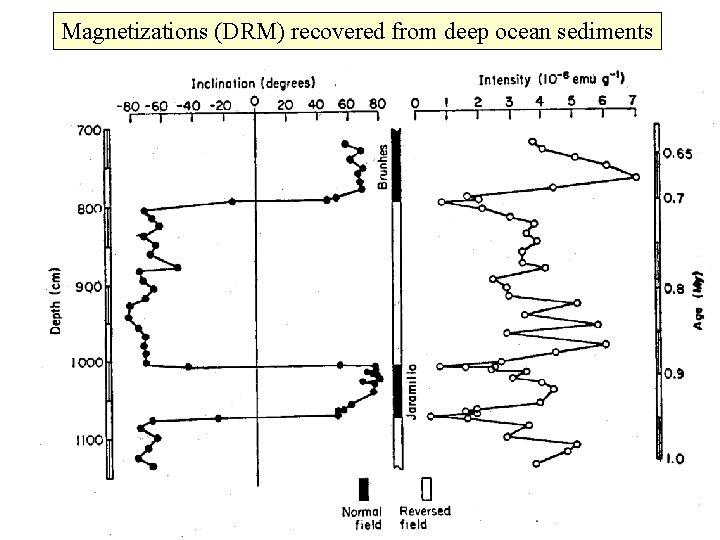 Magnetizations (DRM) recovered from deep ocean sediments 