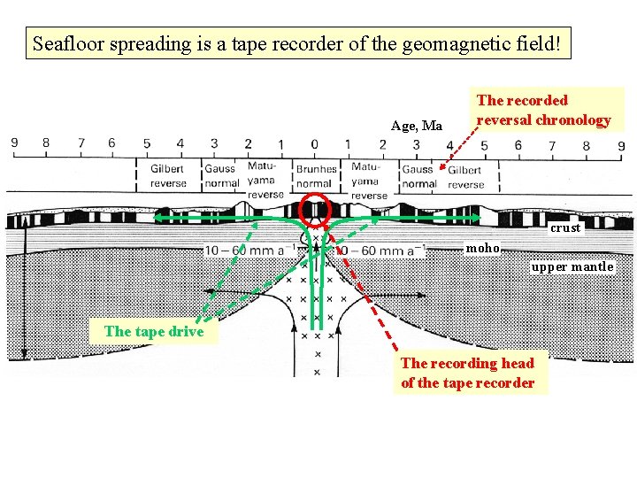 Seafloor spreading is a tape recorder of the geomagnetic field! Age, Ma The recorded