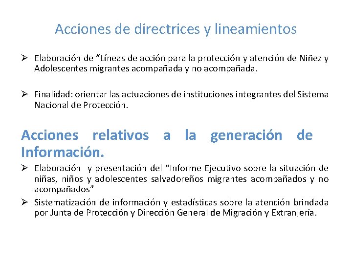 Acciones de directrices y lineamientos Ø Elaboración de “Líneas de acción para la protección