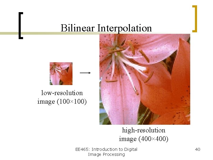 Bilinear Interpolation low-resolution image (100× 100) high-resolution image (400× 400) EE 465: Introduction to