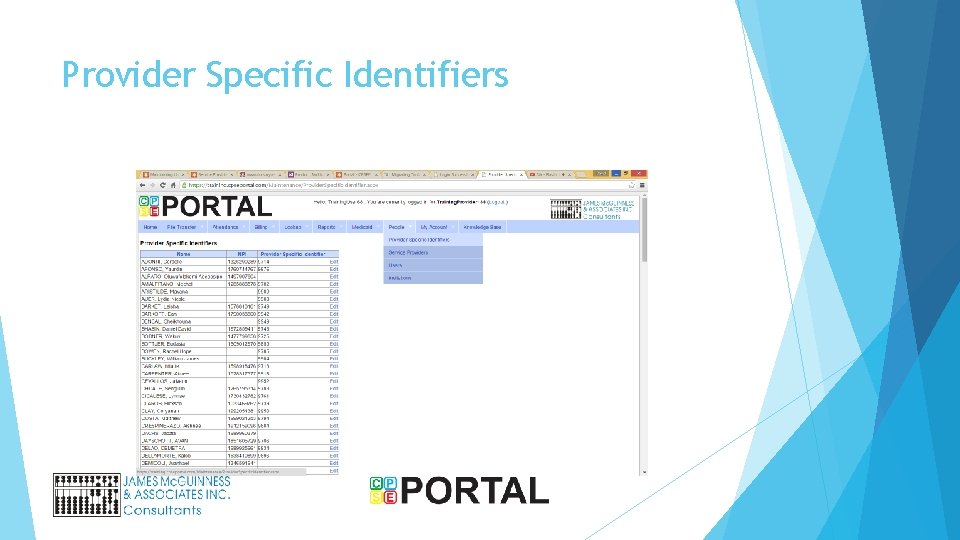 Provider Specific Identifiers 