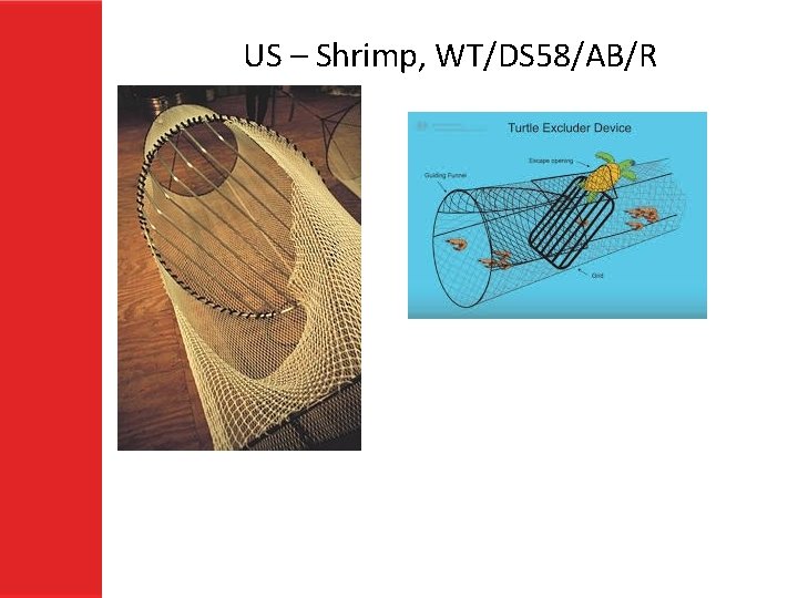US – Shrimp, WT/DS 58/AB/R 