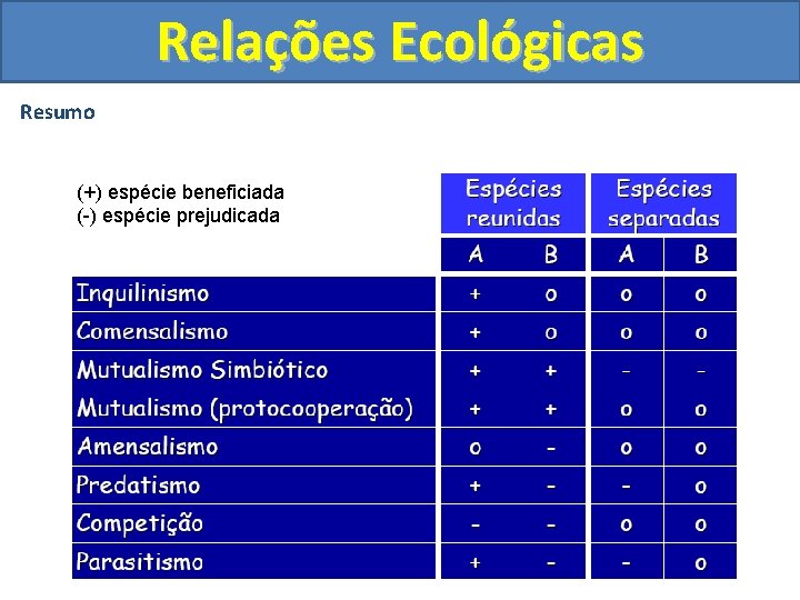 Relações Ecológicas Resumo (+) espécie beneficiada (-) espécie prejudicada 