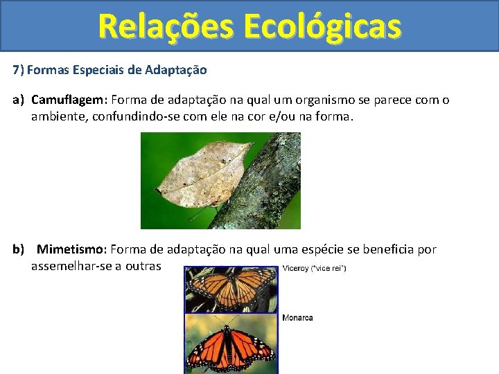 Relações Ecológicas 7) Formas Especiais de Adaptação a) Camuflagem: Forma de adaptação na qual