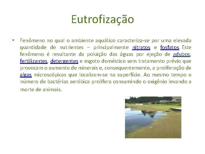 Eutrofização • Fenômeno no qual o ambiente aquático caracteriza-se por uma elevada quantidade de