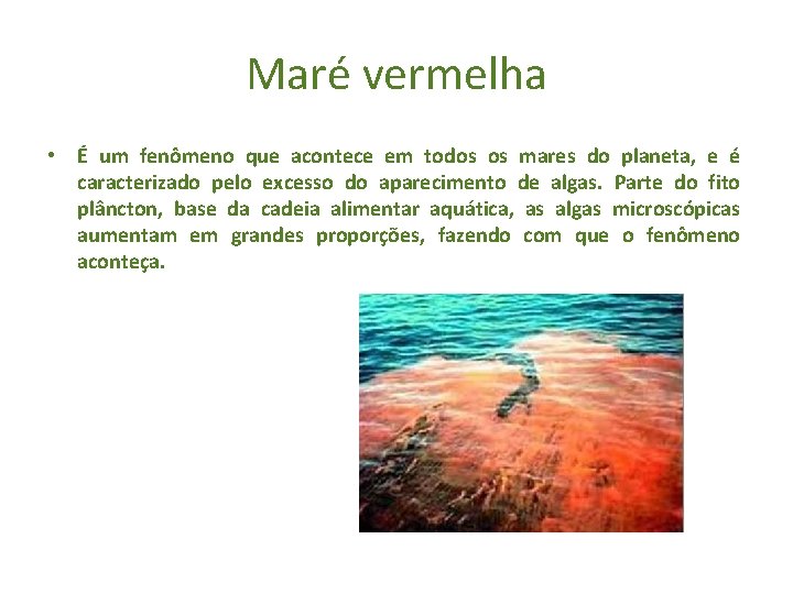 Maré vermelha • É um fenômeno que acontece em todos os mares do planeta,