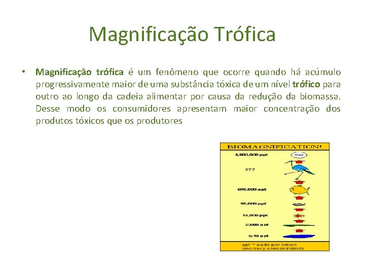 Magnificação Trófica • Magnificação trófica é um fenômeno que ocorre quando há acúmulo progressivamente