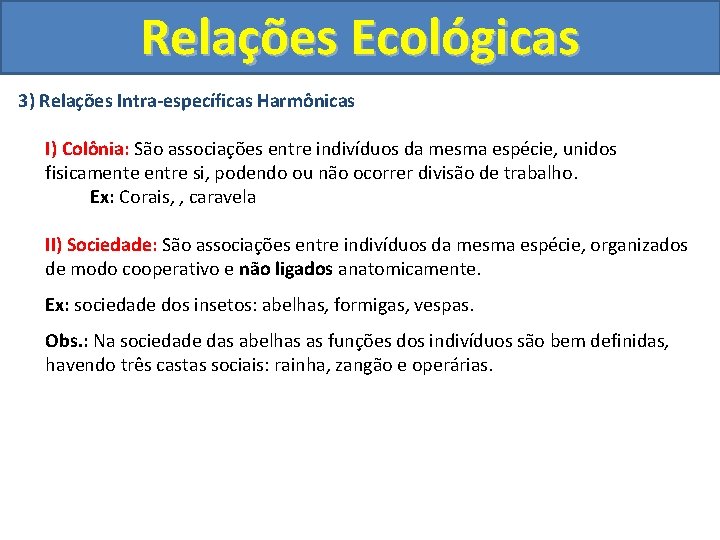 Relações Ecológicas 3) Relações Intra-específicas Harmônicas I) Colônia: São associações entre indivíduos da mesma