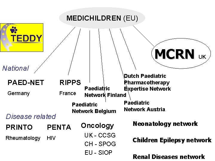 MEDICHILDREN (EU) MCRN UK National Dutch Paediatric Pharmacotherapy RIPPS Paediatric Expertise Network France Network