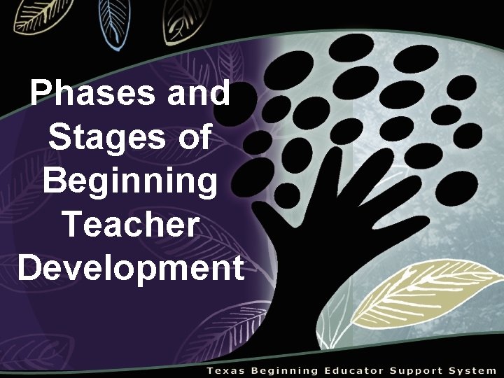 Phases and Stages of Beginning Teacher Development 