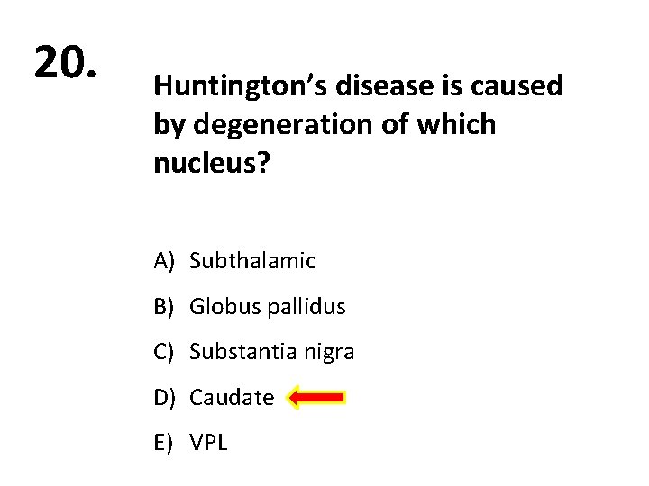 20. Huntington’s disease is caused by degeneration of which nucleus? A) Subthalamic B) Globus