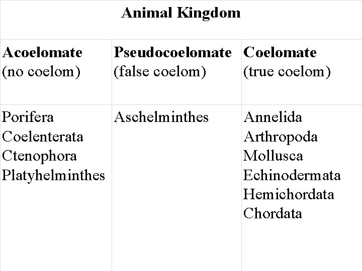 Animal Kingdom Acoelomate (no coelom) Pseudocoelomate Coelomate (false coelom) (true coelom) Porifera Aschelminthes Coelenterata