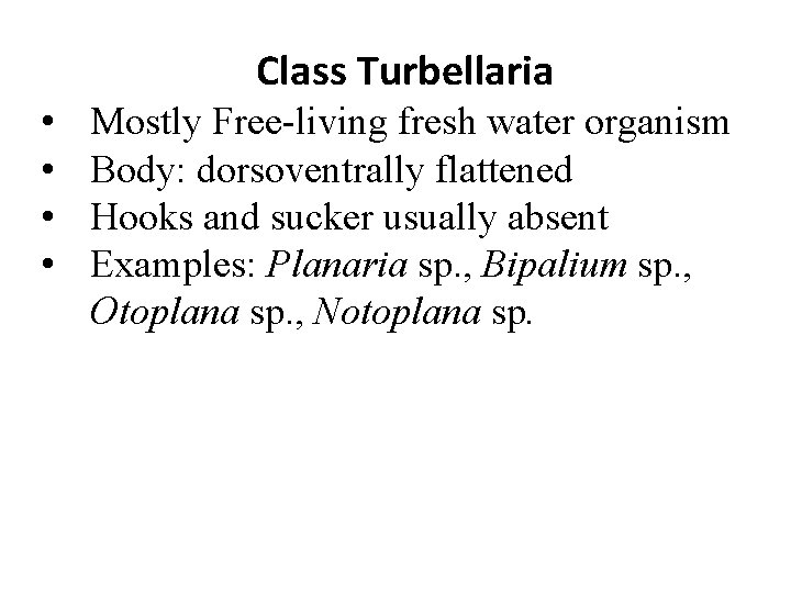 Class Turbellaria • • Mostly Free-living fresh water organism Body: dorsoventrally flattened Hooks and