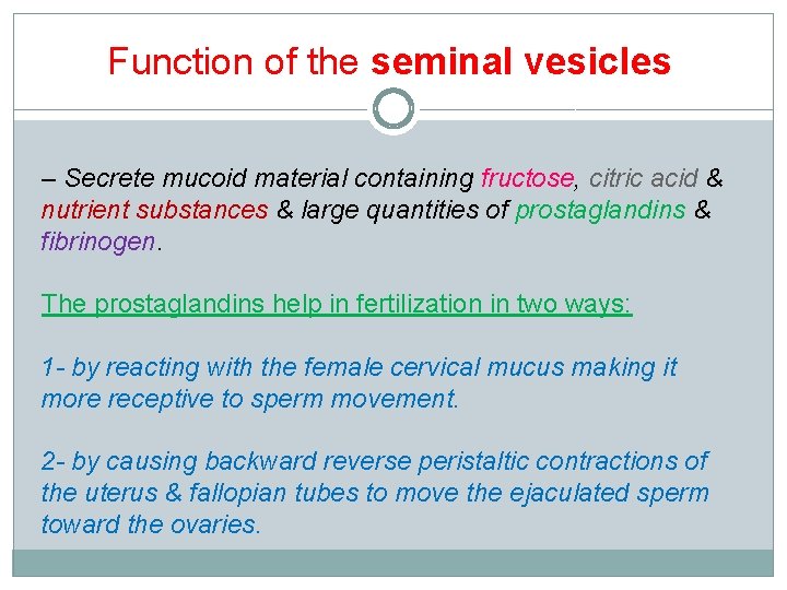 Function of the seminal vesicles – Secrete mucoid material containing fructose, citric acid &