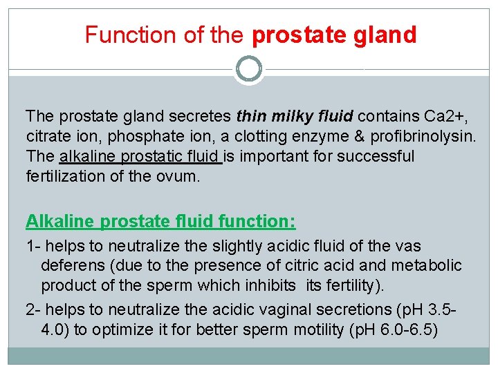Function of the prostate gland The prostate gland secretes thin milky fluid contains Ca