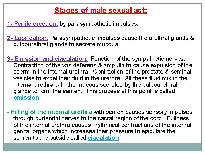 Stages of male sexual act: 1 - Penile erection. by parasympathetic impulses. 2 -