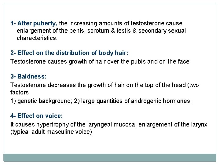 1 - After puberty, the increasing amounts of testosterone cause enlargement of the penis,