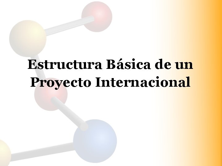 Estructura Básica de un Proyecto Internacional 