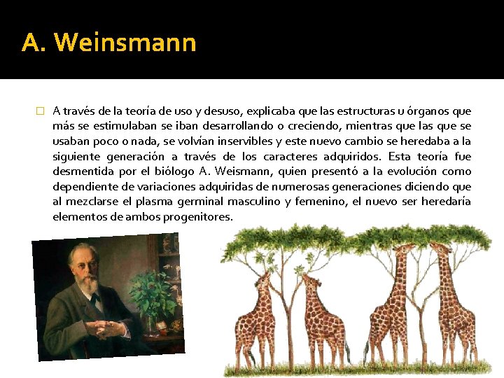 A. Weinsmann � A través de la teoría de uso y desuso, explicaba que