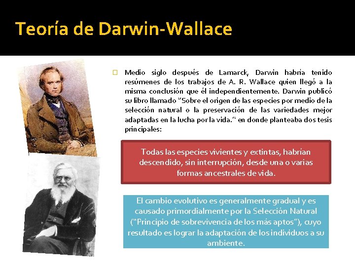 Teoría de Darwin-Wallace � Medio siglo después de Lamarck, Darwin habría tenido resúmenes de