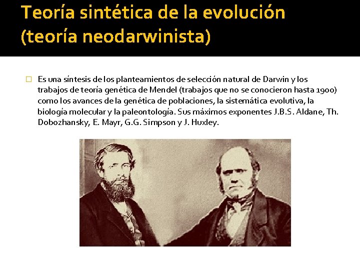 Teoría sintética de la evolución (teoría neodarwinista) � Es una síntesis de los planteamientos