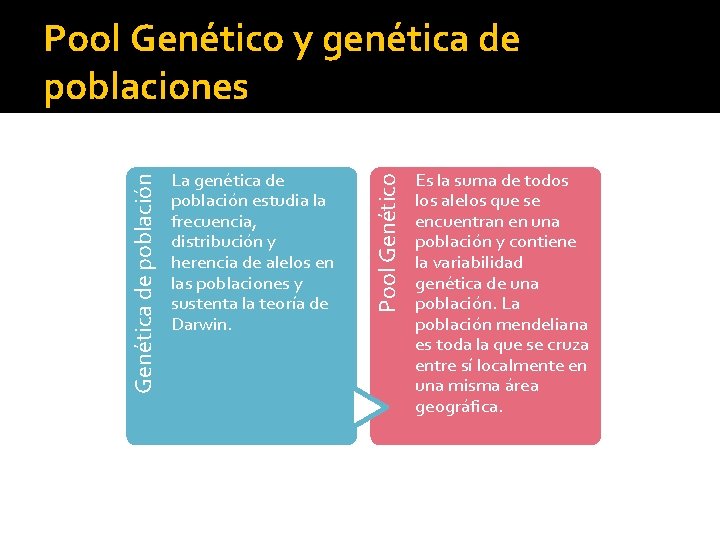 La genética de población estudia la frecuencia, distribución y herencia de alelos en las