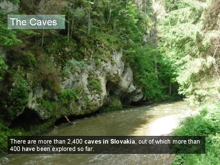 The Caves There are more than 2, 400 caves in Slovakia, out of which