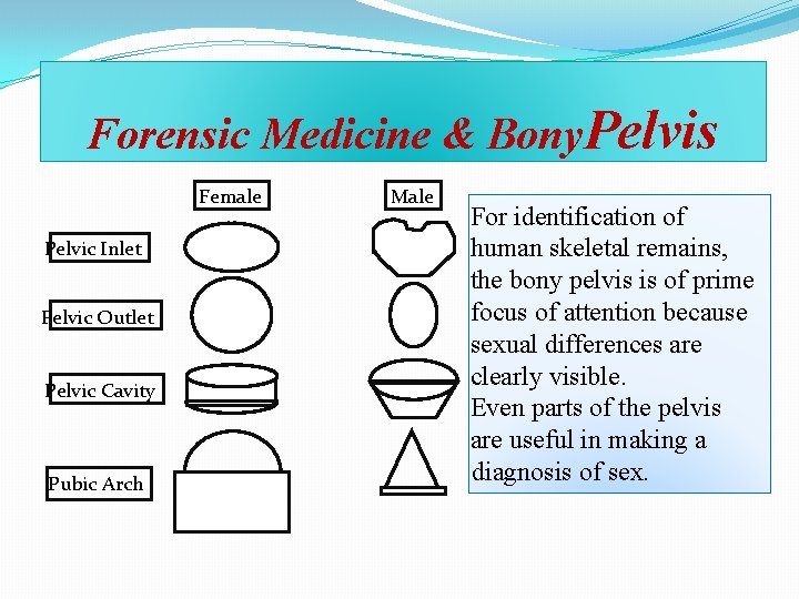 Forensic Medicine & Bony. Pelvis Female Pelvic Inlet Pelvic Outlet Pelvic Cavity Pubic Arch