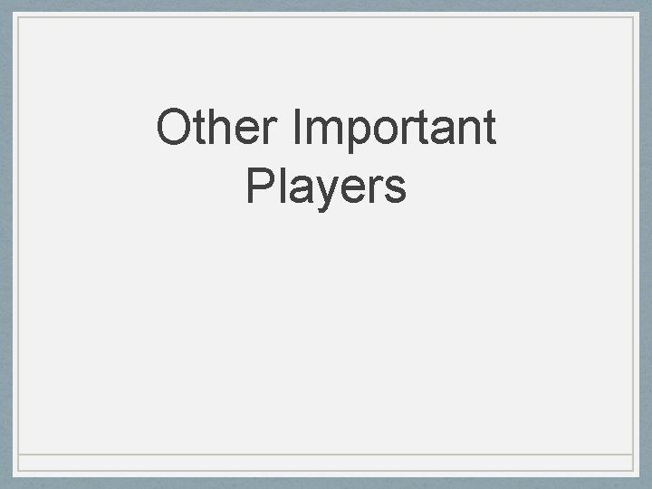 Other Important Players Other Important Players