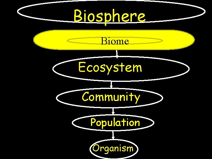 Biosphere Biome Ecosystem Community Population Organism 