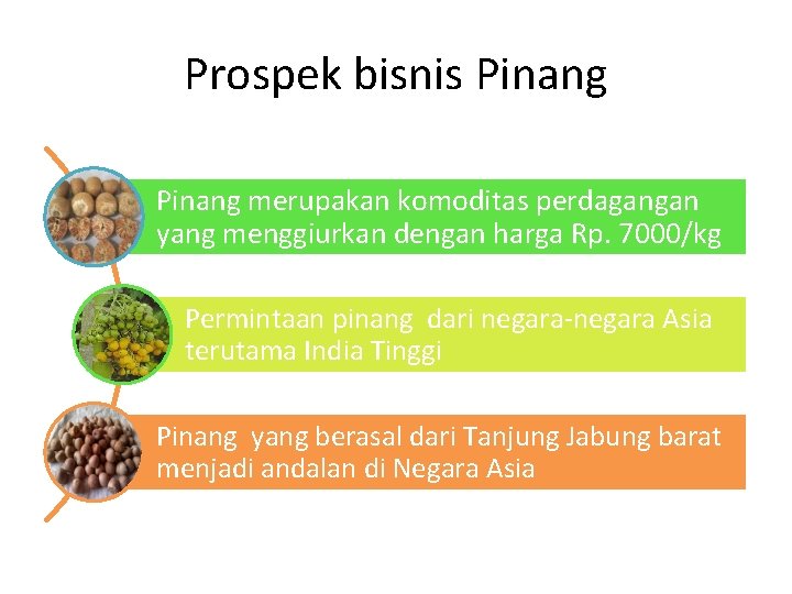 Prospek bisnis Pinang merupakan komoditas perdagangan yang menggiurkan dengan harga Rp. 7000/kg Permintaan pinang