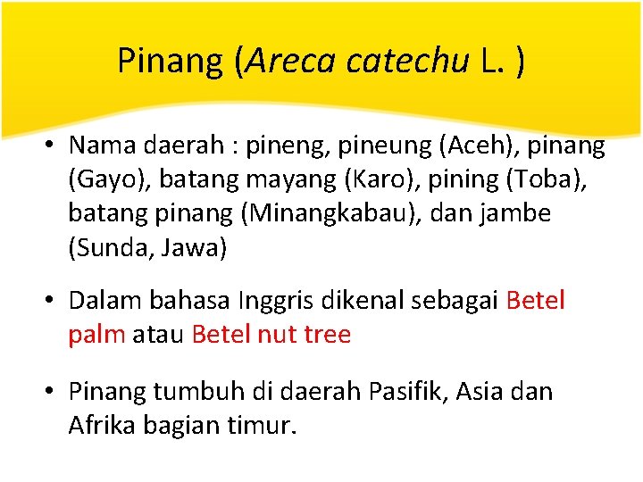 Pinang (Areca catechu L. ) • Nama daerah : pineng, pineung (Aceh), pinang (Gayo),