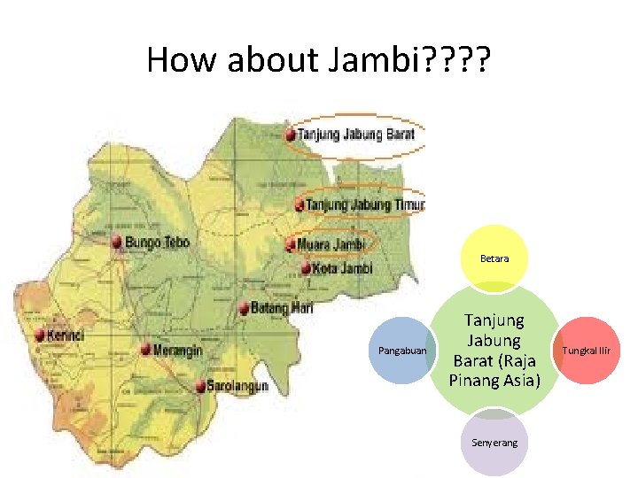 How about Jambi? ? Betara Pangabuan Tanjung Jabung Barat (Raja Pinang Asia) Senyerang Tungkal