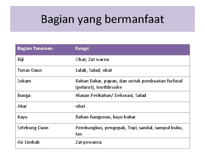 Bagian yang bermanfaat Bagian Tanaman Fungsi Biji Obat, Zat warna Tunas Daun Lalab, Salad,