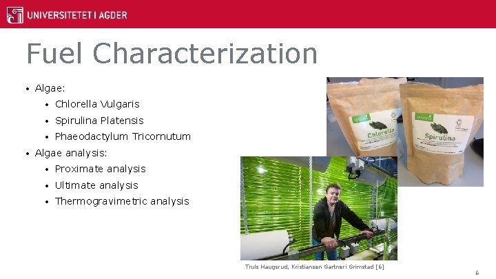 Fuel Characterization • • Algae: • Chlorella Vulgaris • Spirulina Platensis • Phaeodactylum Tricornutum