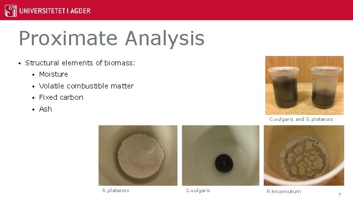 Proximate Analysis • Structural elements of biomass: • Moisture • Volatile combustible matter •