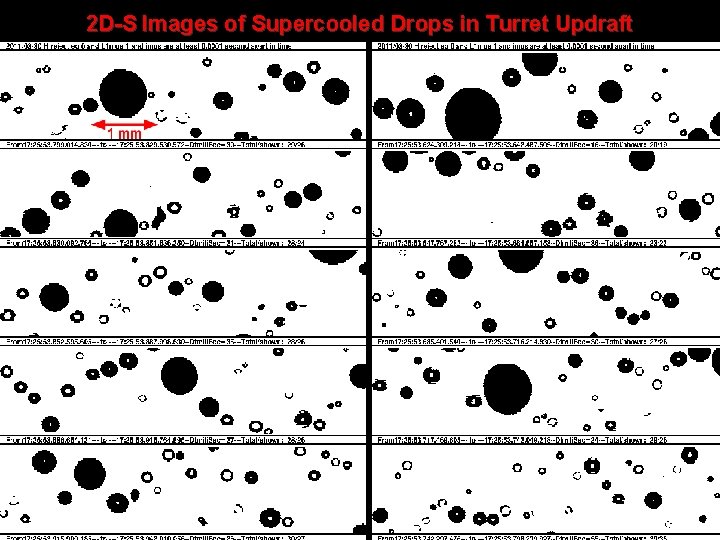 2 D-S Images of Supercooled Drops in Turret Updraft 