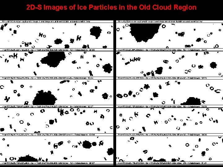 2 D-S Images of Ice Particles in the Old Cloud Region 