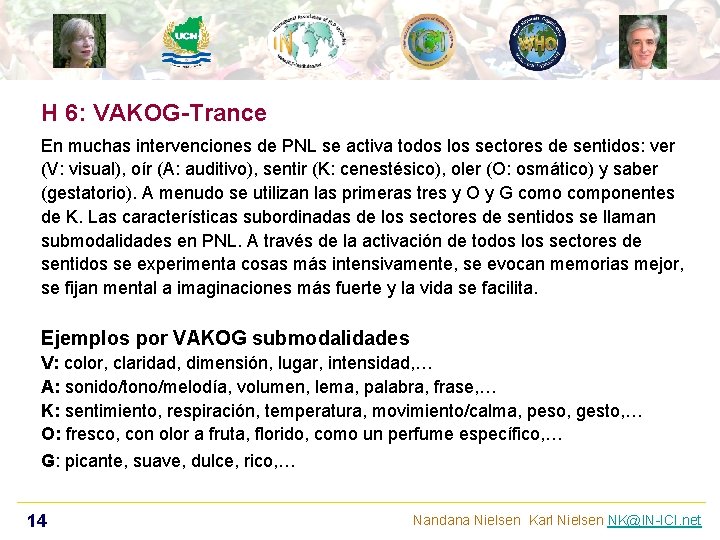 H 6: VAKOG-Trance En muchas intervenciones de PNL se activa todos los sectores de