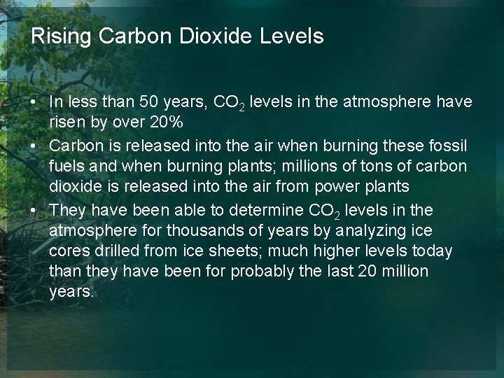Rising Carbon Dioxide Levels • In less than 50 years, CO 2 levels in