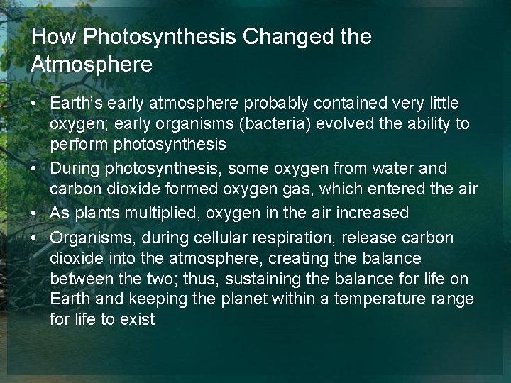 How Photosynthesis Changed the Atmosphere • Earth’s early atmosphere probably contained very little oxygen;