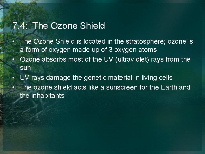 7. 4: The Ozone Shield • The Ozone Shield is located in the stratosphere;