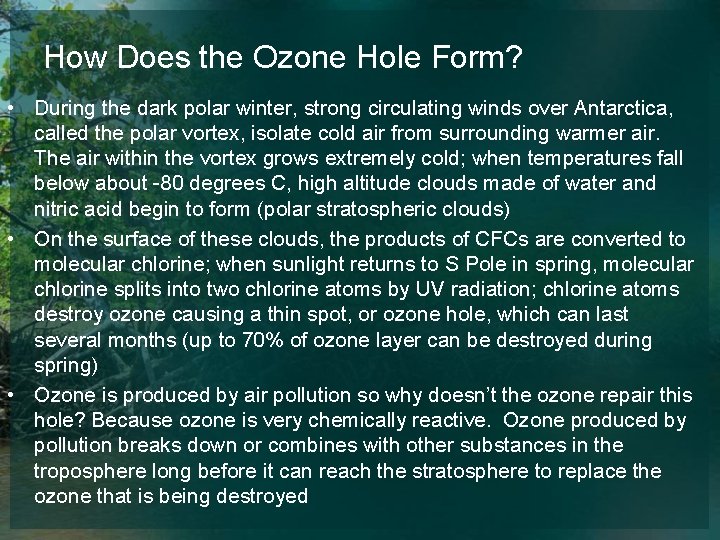 How Does the Ozone Hole Form? • During the dark polar winter, strong circulating