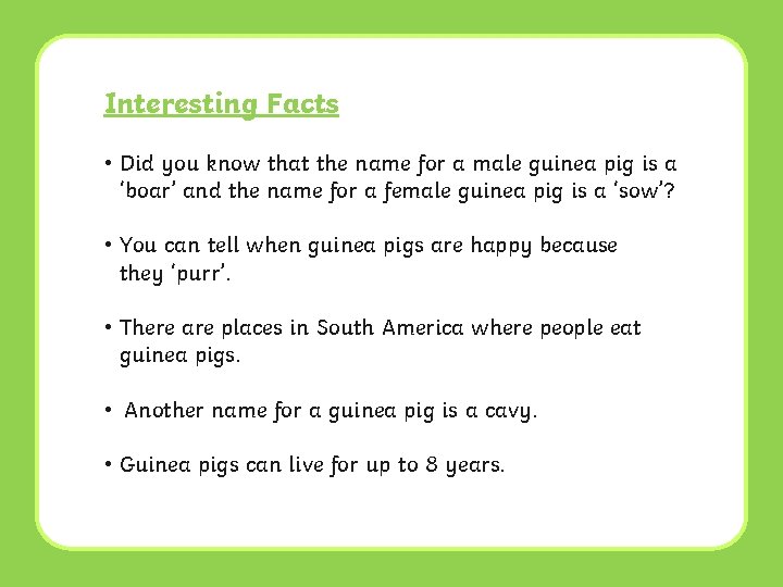 Interesting Facts • Did you know that the name for a male guinea pig