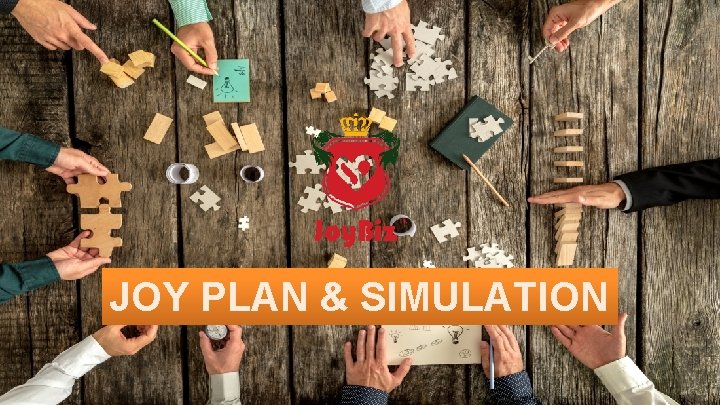 JOY PLAN & SIMULATION 