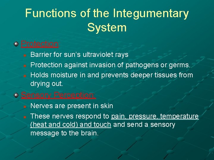 Functions of the Integumentary System Protection: n n n Barrier for sun’s ultraviolet rays