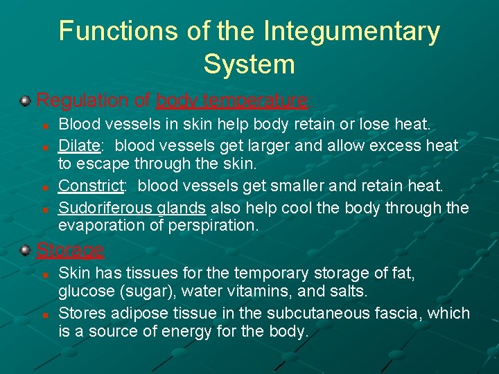 Functions of the Integumentary System Regulation of body temperature: n n Blood vessels in